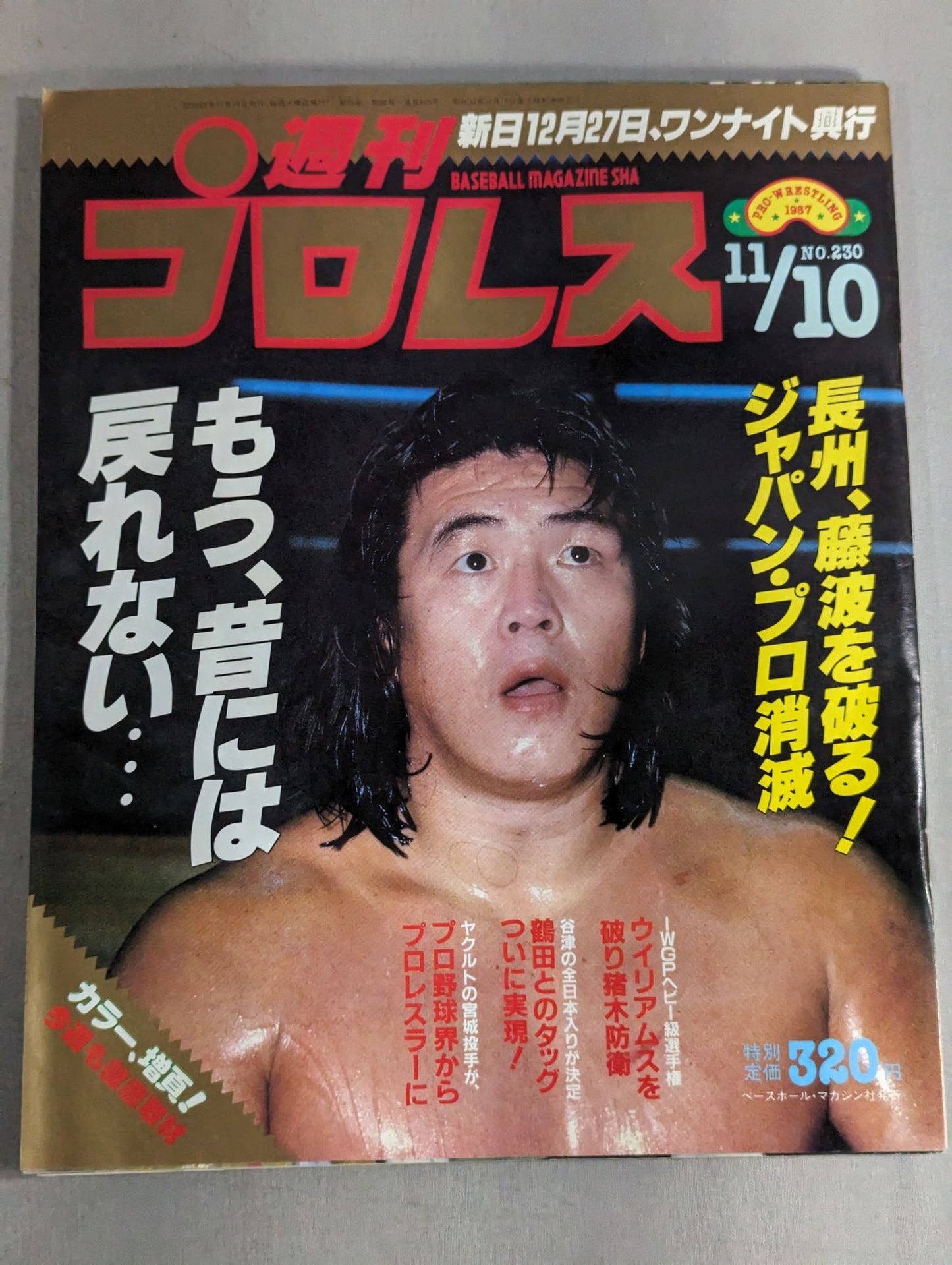 週刊プロレス230