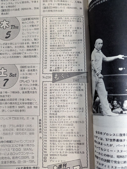 週刊プロレス230