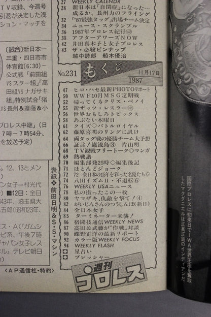 Weekly Pro Wrestling 231
