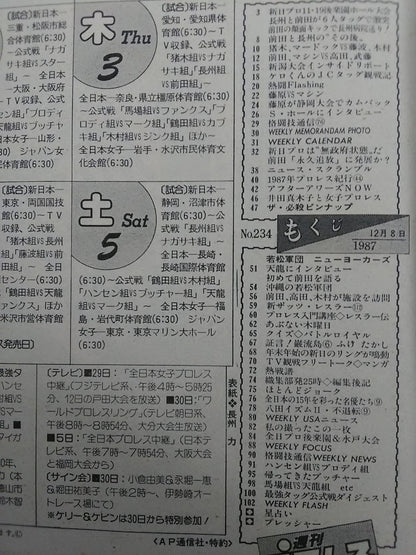 週刊プロレス234