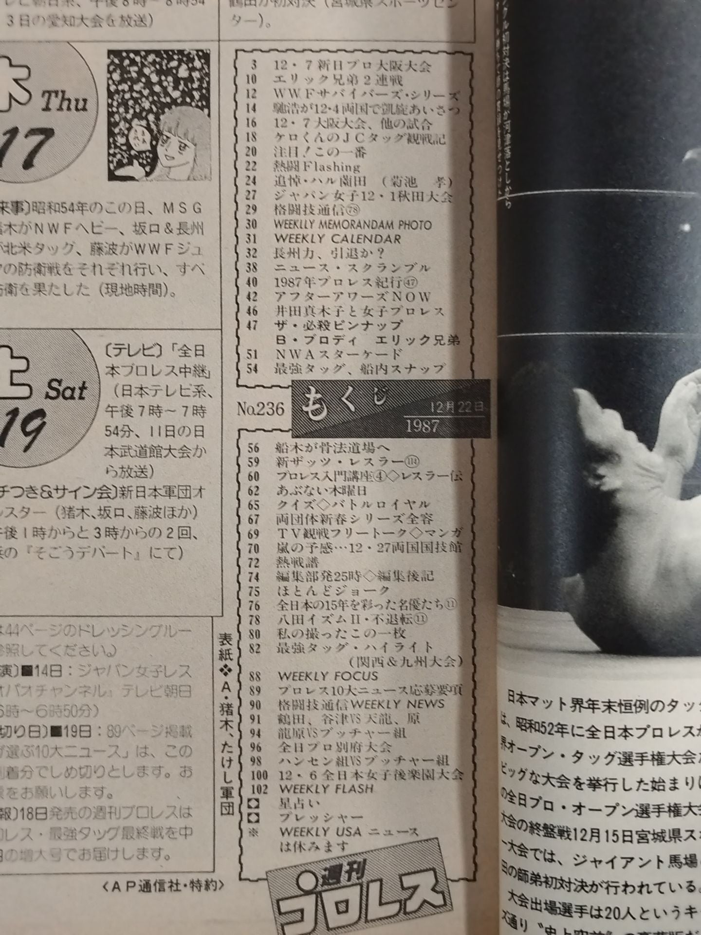 週刊プロレス236