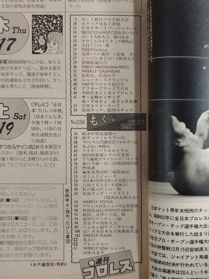 週刊プロレス236