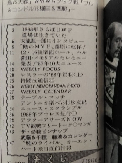 週刊プロレス238