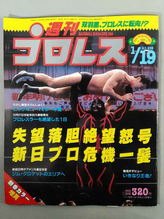Weekly Pro Wrestling 239