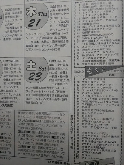 Weekly Pro Wrestling  240