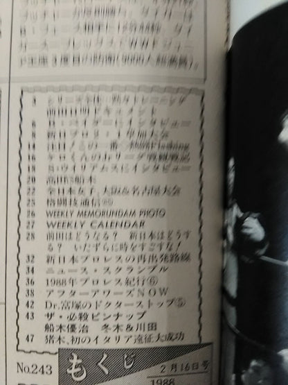 週刊プロレス243