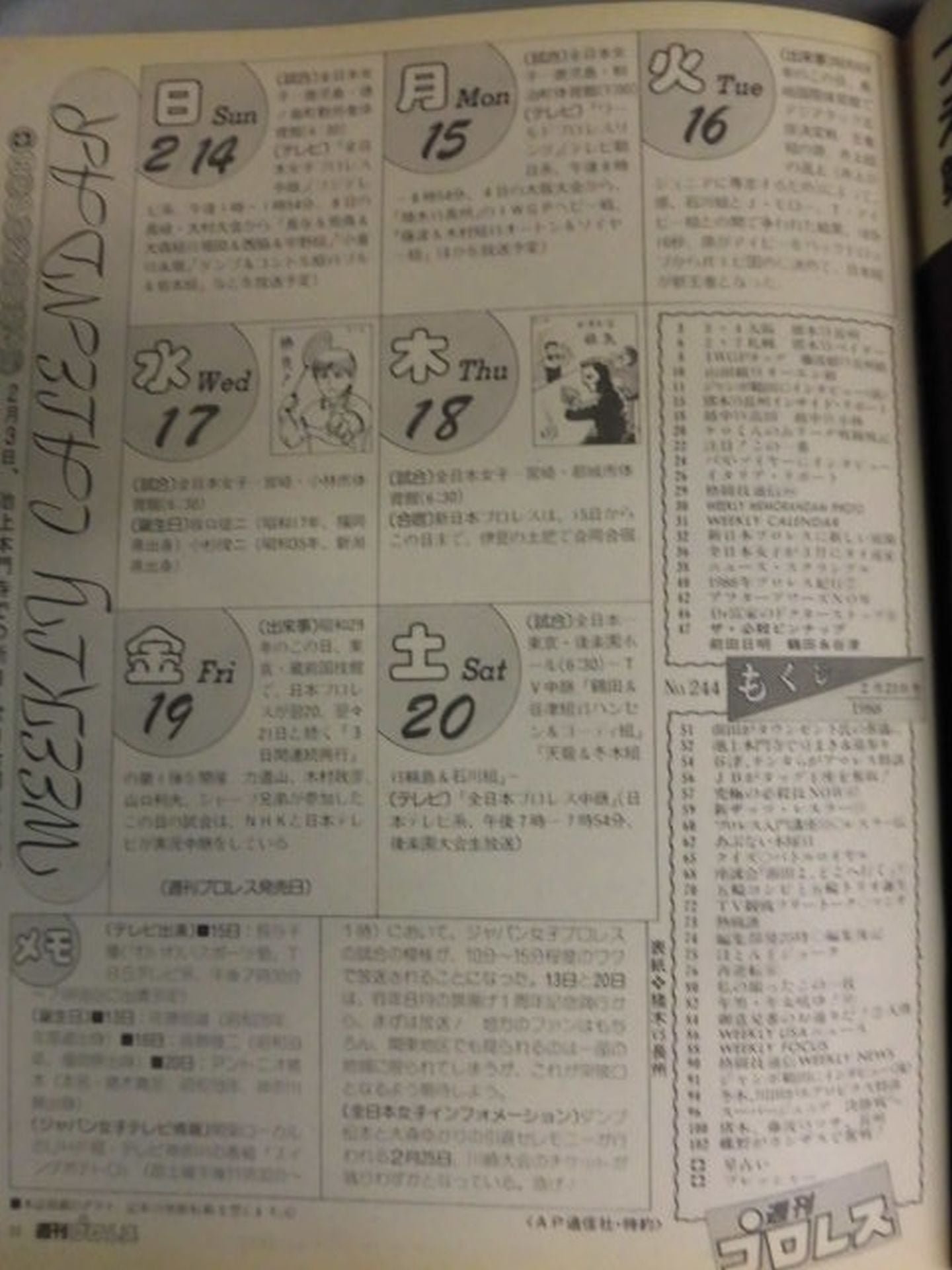 Weekly Pro Wrestling 244