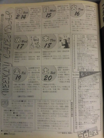 Weekly Pro Wrestling 244