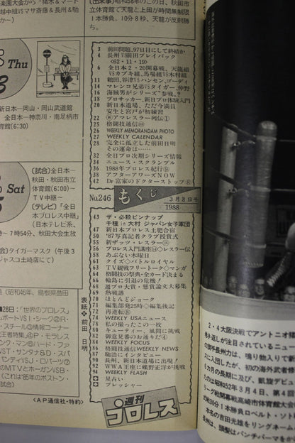 週刊プロレス246