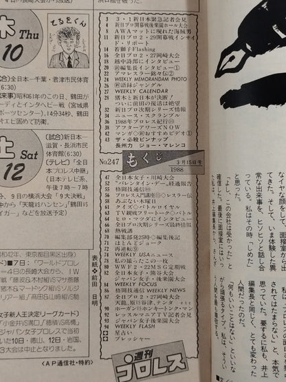 週刊プロレス247
