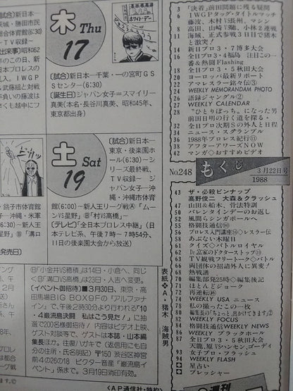 週刊プロレス248