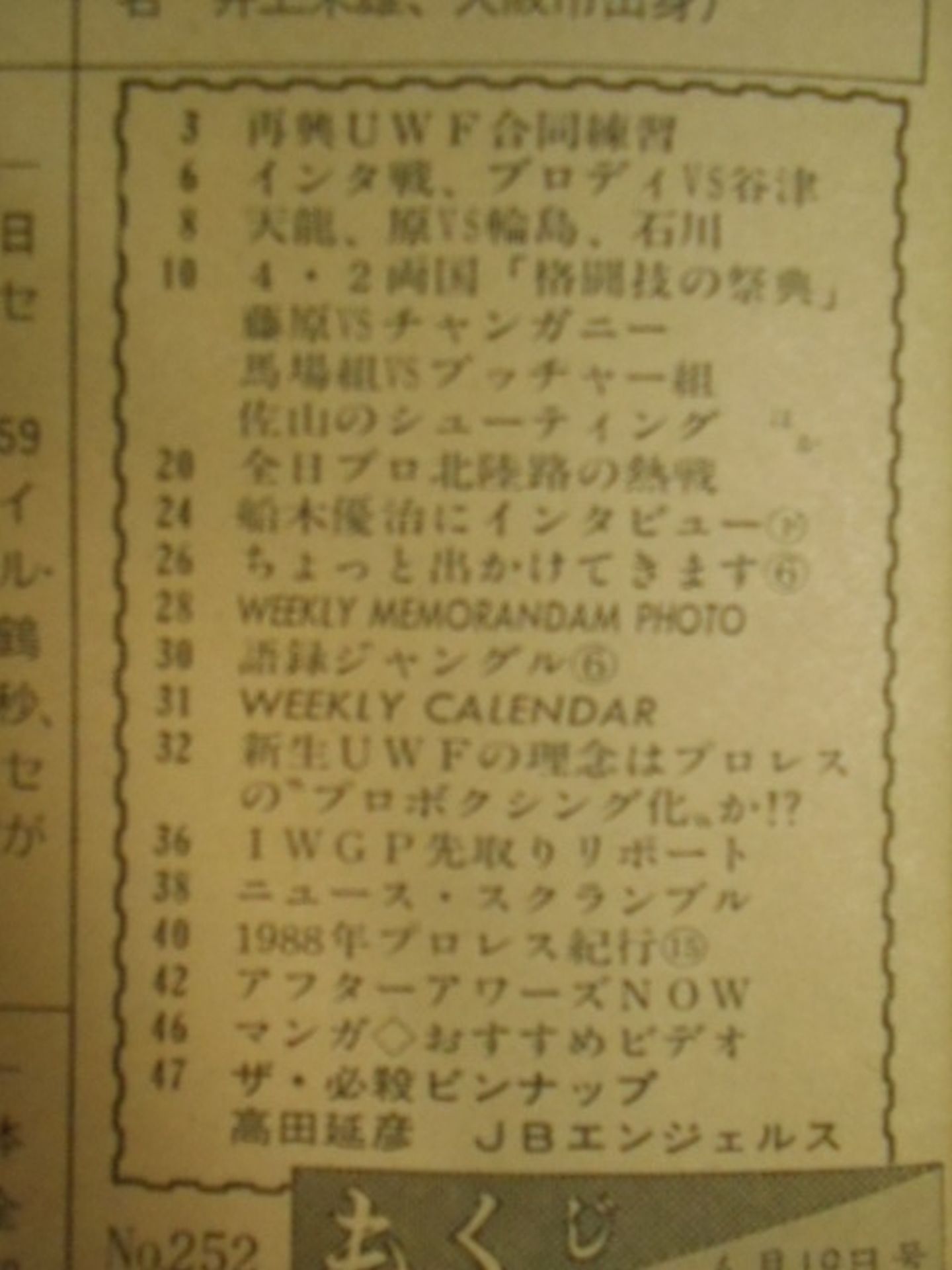 週刊プロレス252