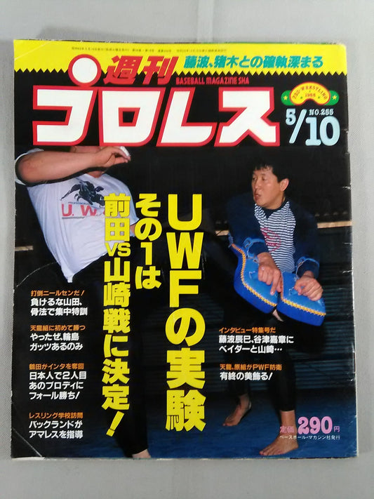 Weekly Pro Wrestling  255