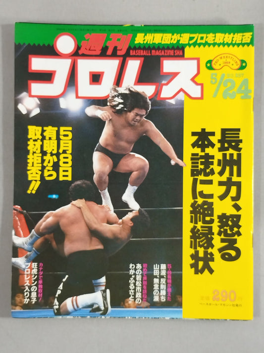 Weekly Pro Wrestling 257