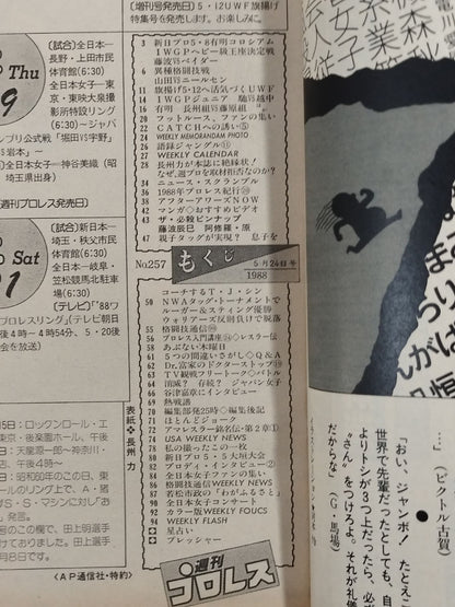 Weekly Pro Wrestling 257