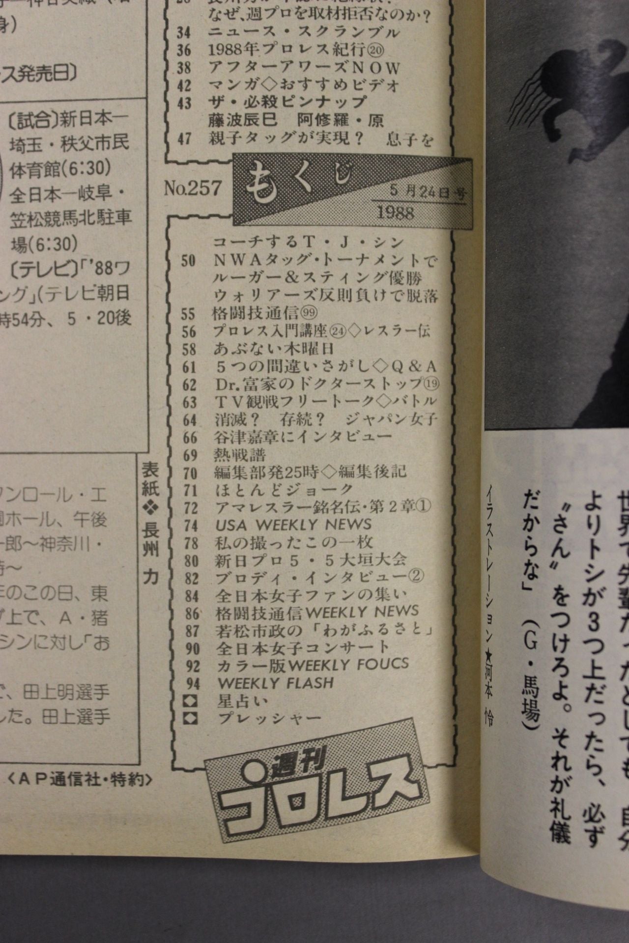 Weekly Pro Wrestling 257