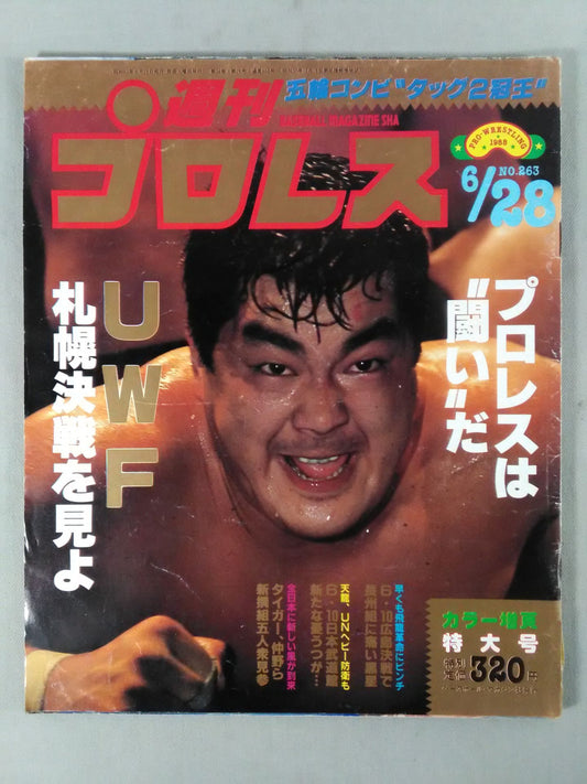 Weekly Pro Wrestling 263