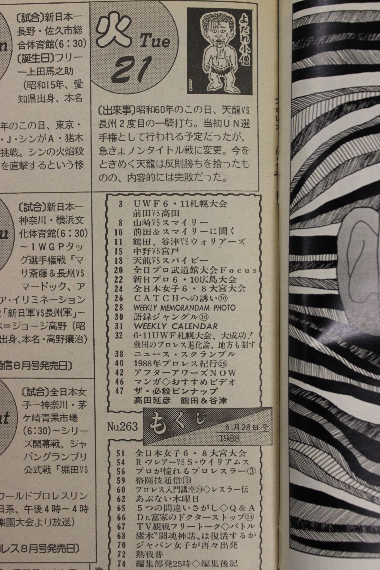 Weekly Pro Wrestling 263