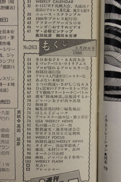 Weekly Pro Wrestling 263