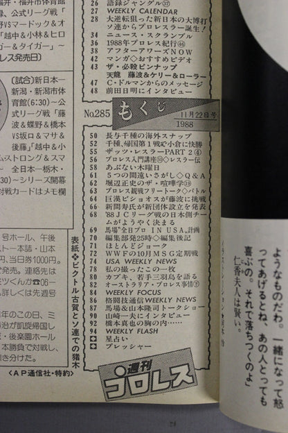 週刊プロレス285