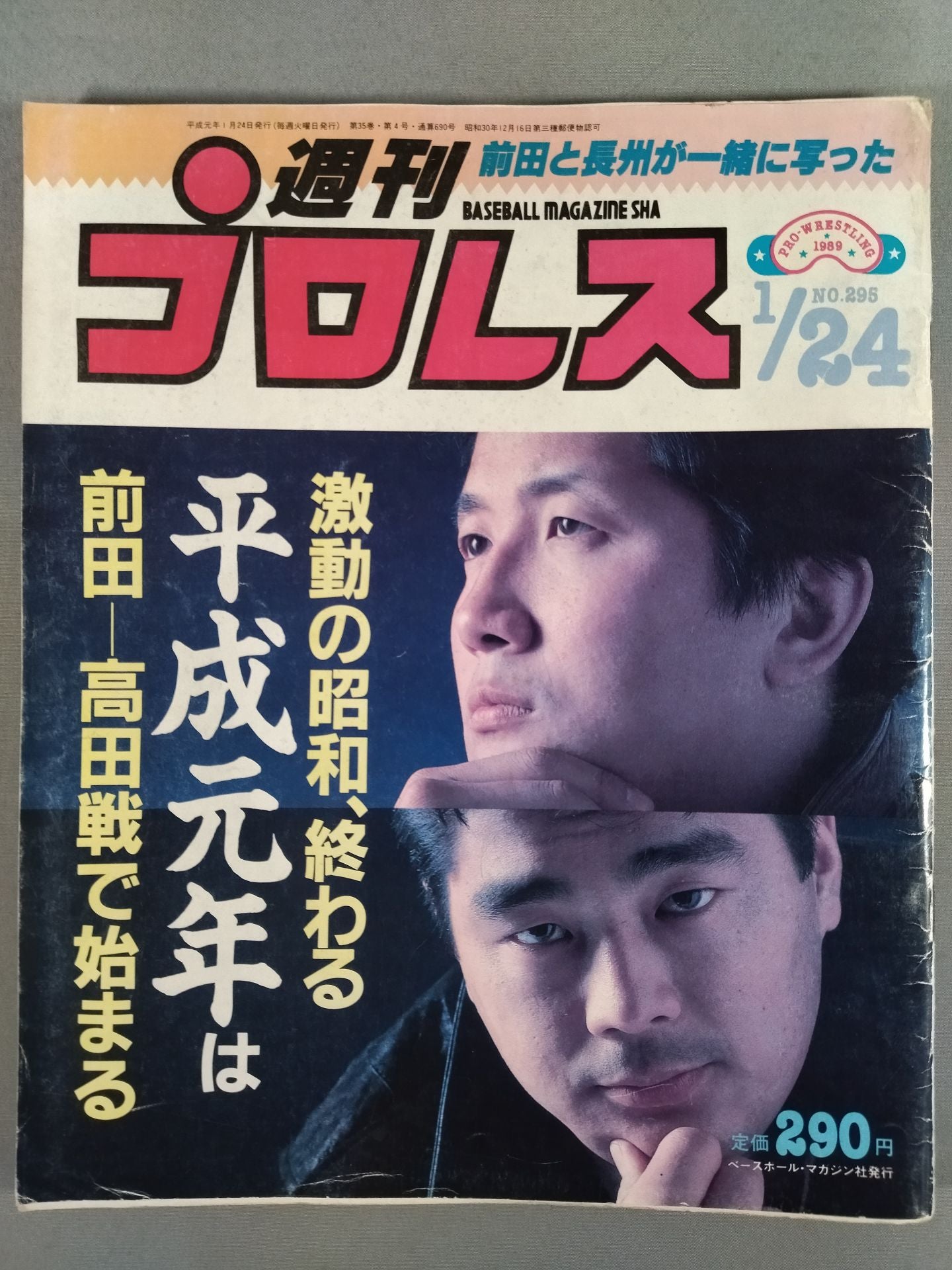 Weekly Pro Wrestling 295