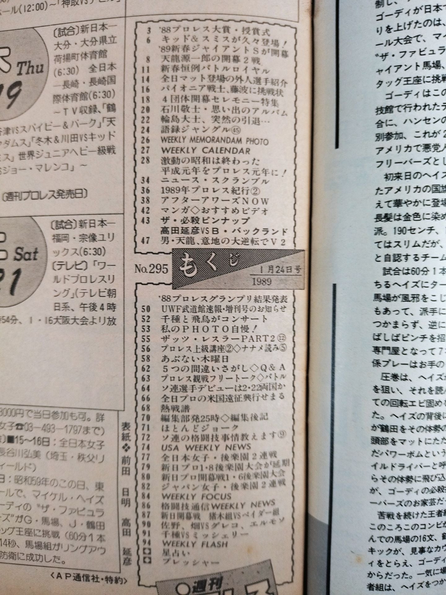 Weekly Pro Wrestling 295