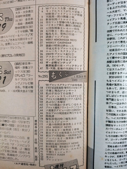 Weekly Pro Wrestling 295
