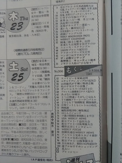 週刊プロレス306