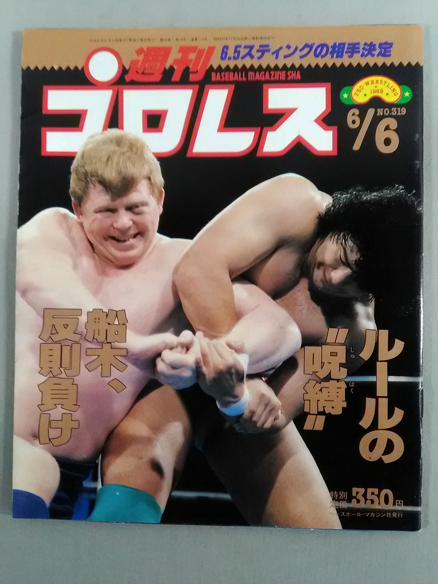 Weekly Pro Wrestling 319