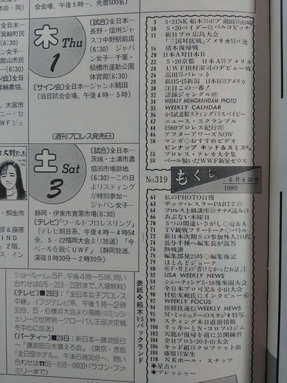 Weekly Pro Wrestling 319