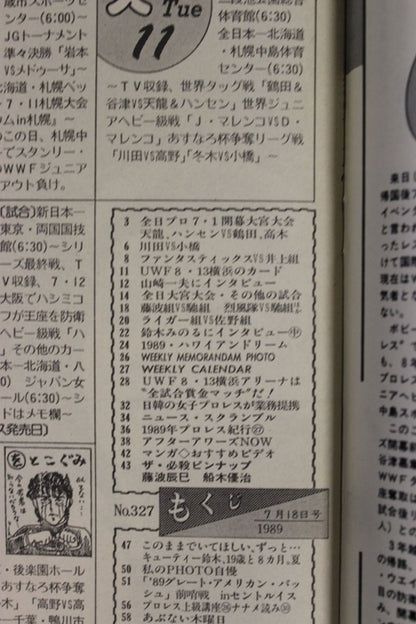 週刊プロレス327