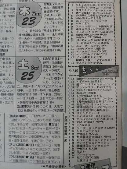 Weekly Pro Wrestling 349