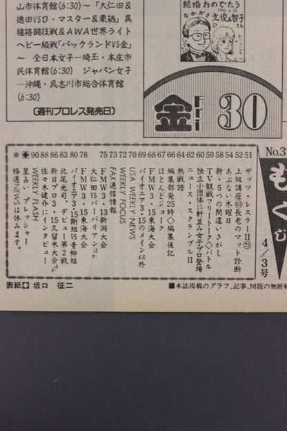 Weekly Pro Wrestling 370