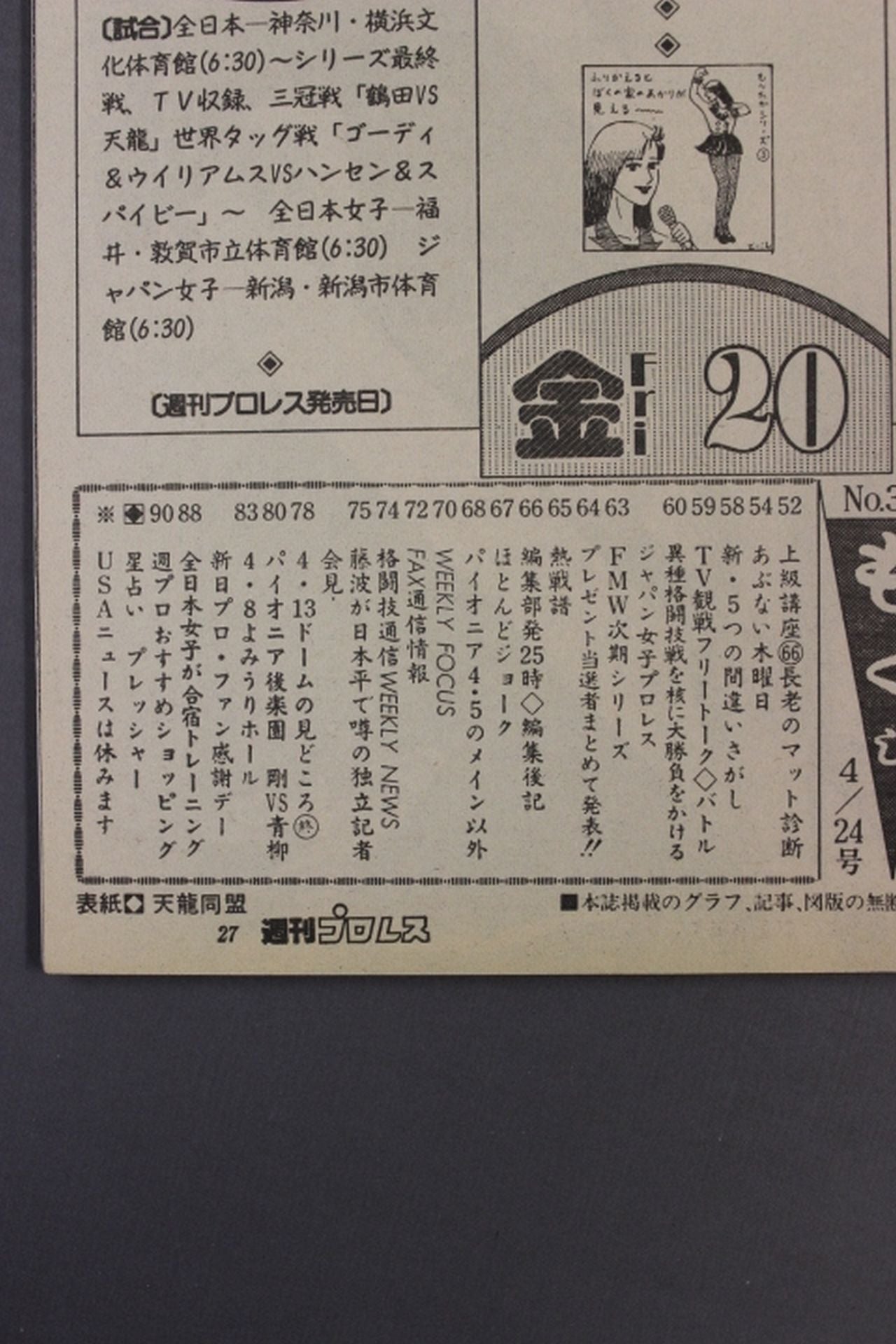 Weekly Pro Wrestling 373