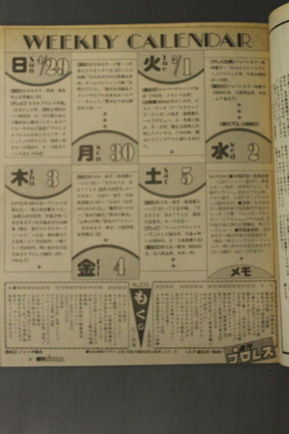 週刊プロレス376