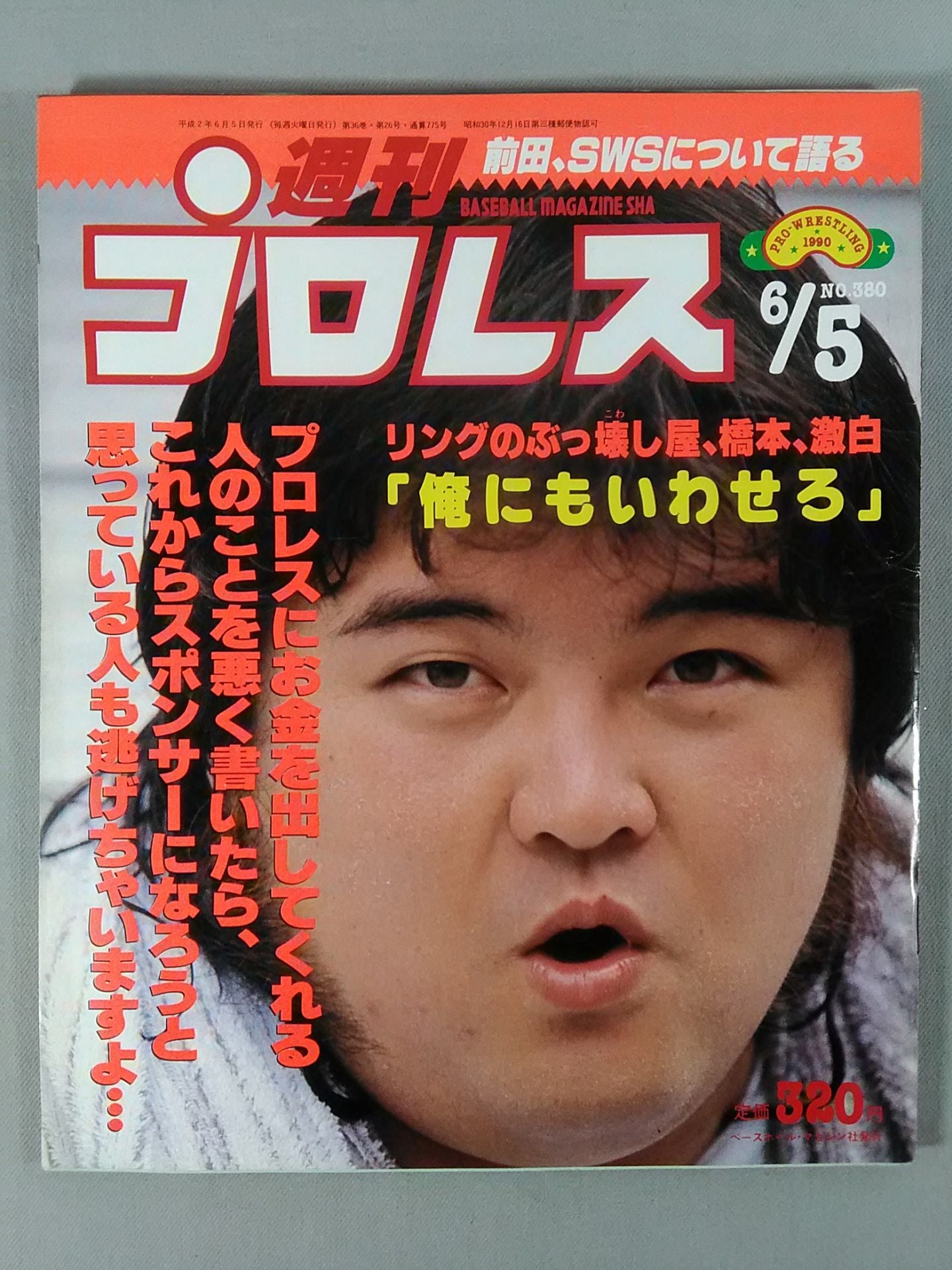 Weekly Pro Wrestling 380