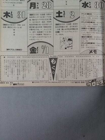 Weekly Pro Wrestling 380