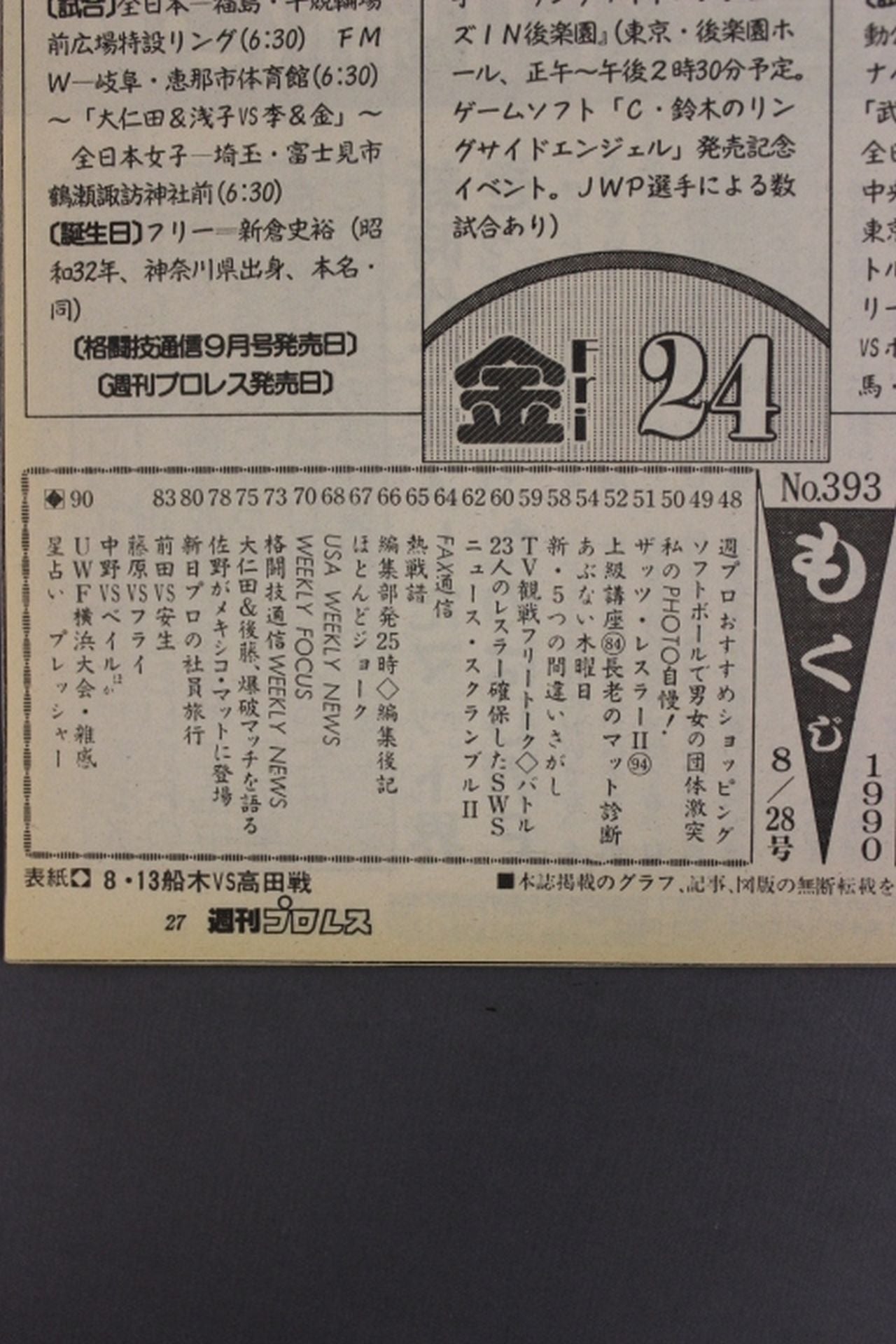 Weekly Pro Wrestling 393