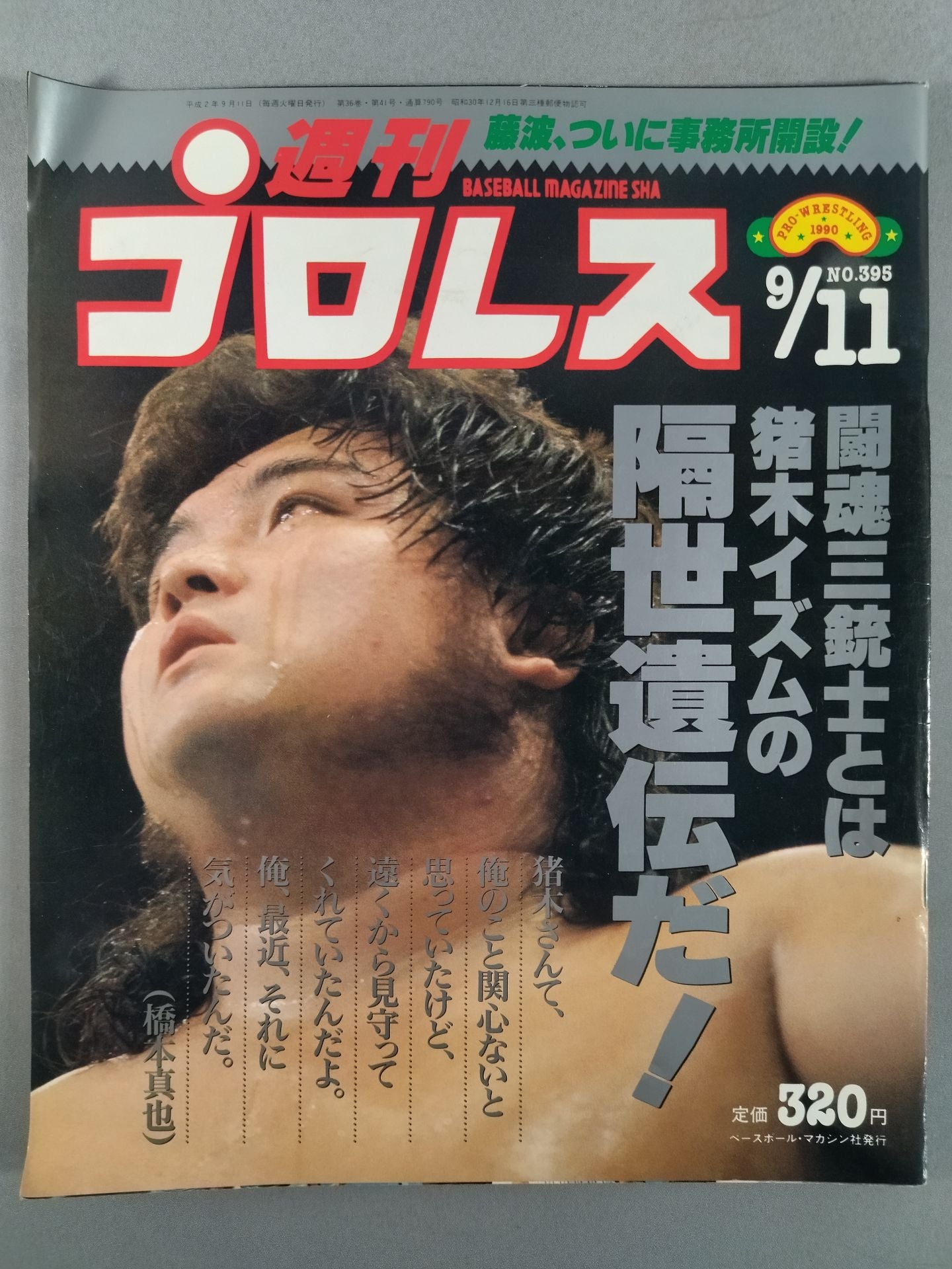 週刊プロレス395
