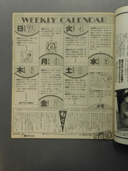 週刊プロレス395