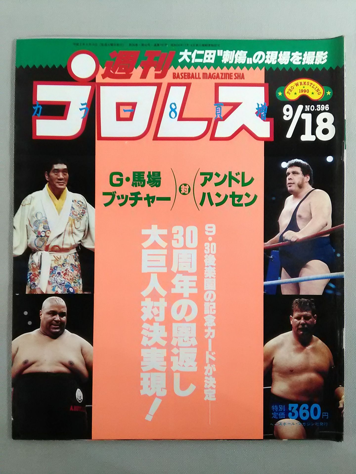 Weekly Pro Wrestling 396