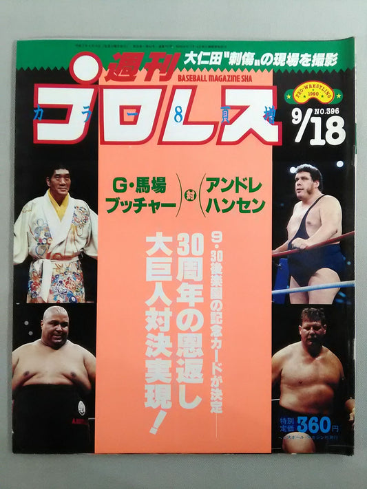 Weekly Pro Wrestling 396