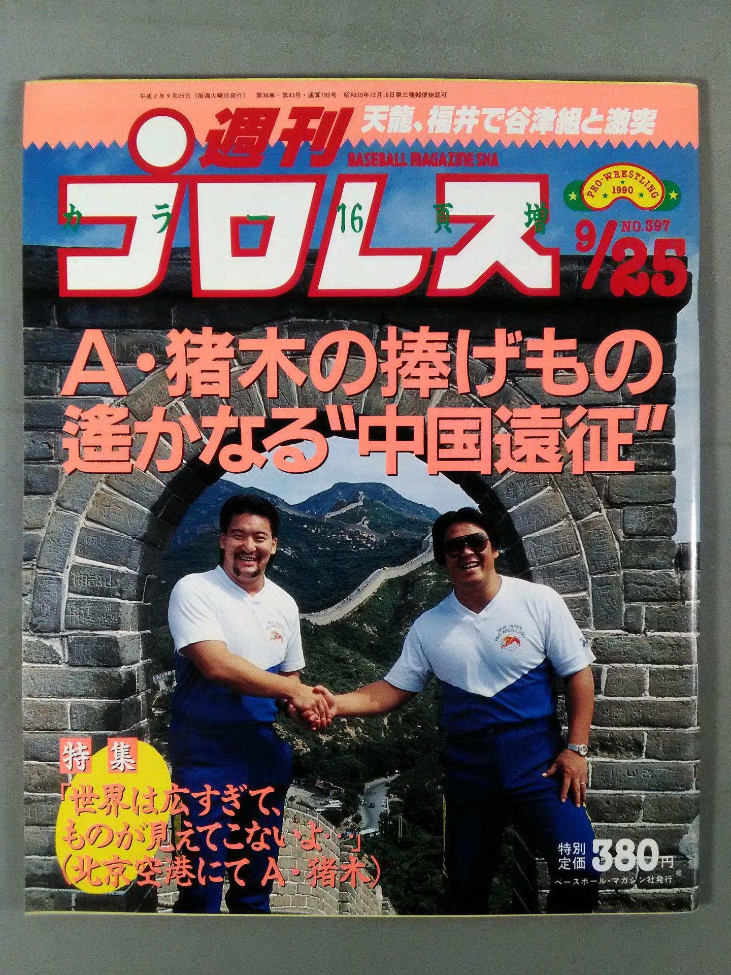 Weekly Pro Wrestling 397