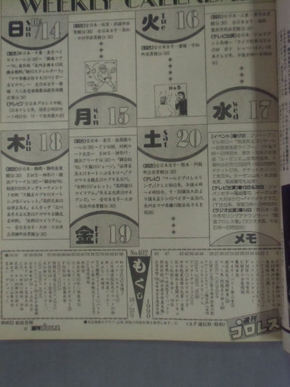 Weekly Pro Wrestling  402