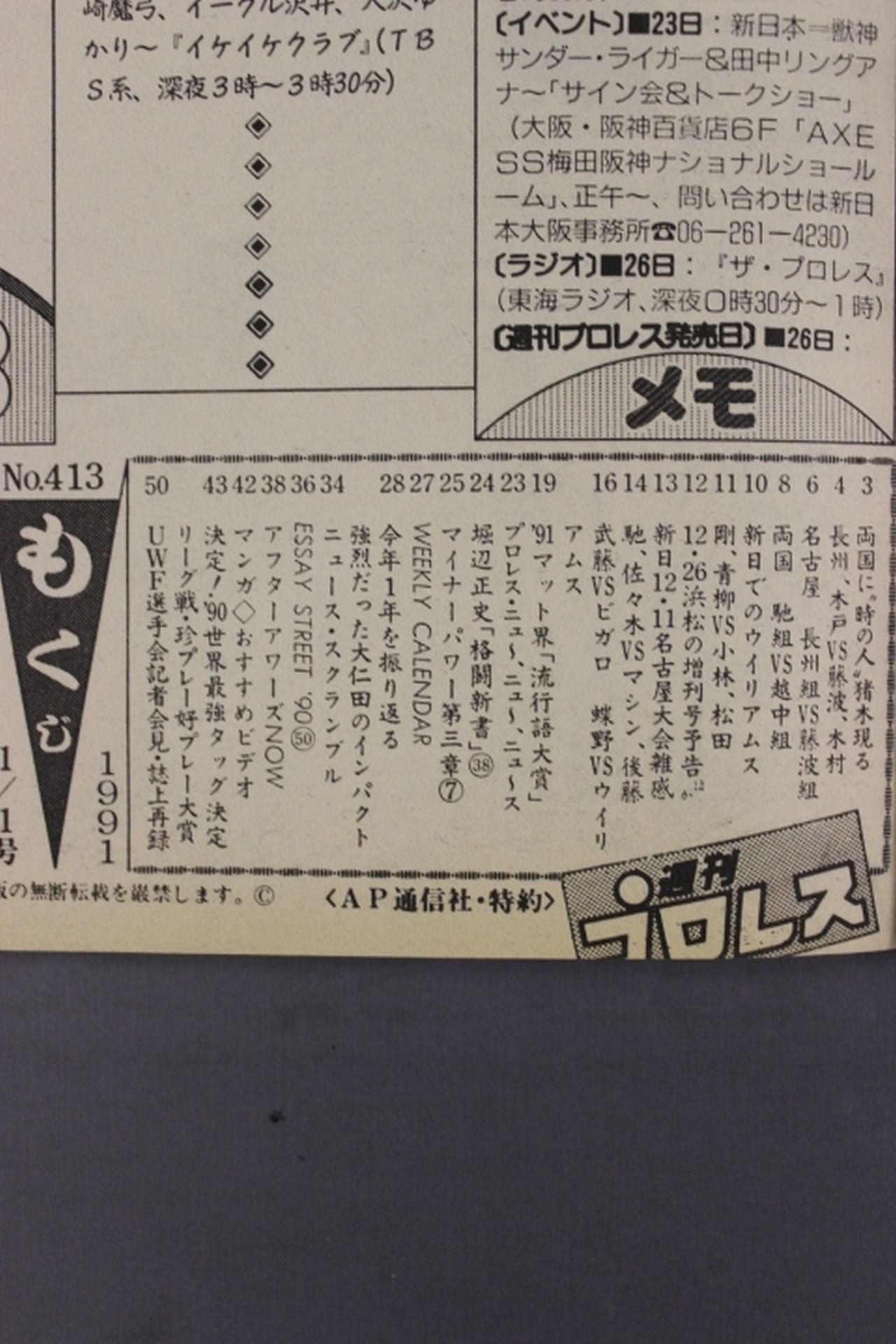 Weekly Pro Wrestling 413