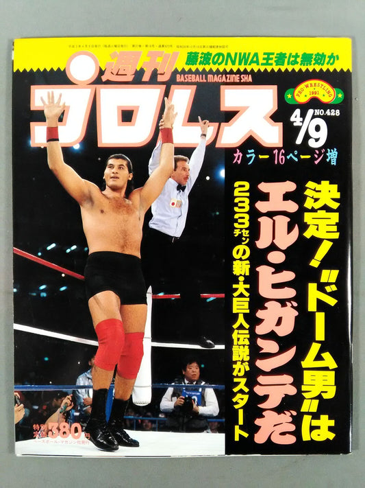 Weekly Pro Wrestling  428