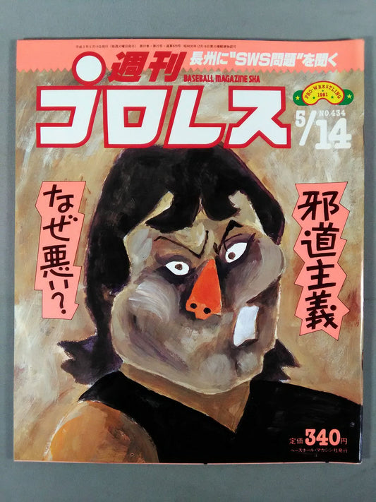 Weekly Pro Wrestling 434