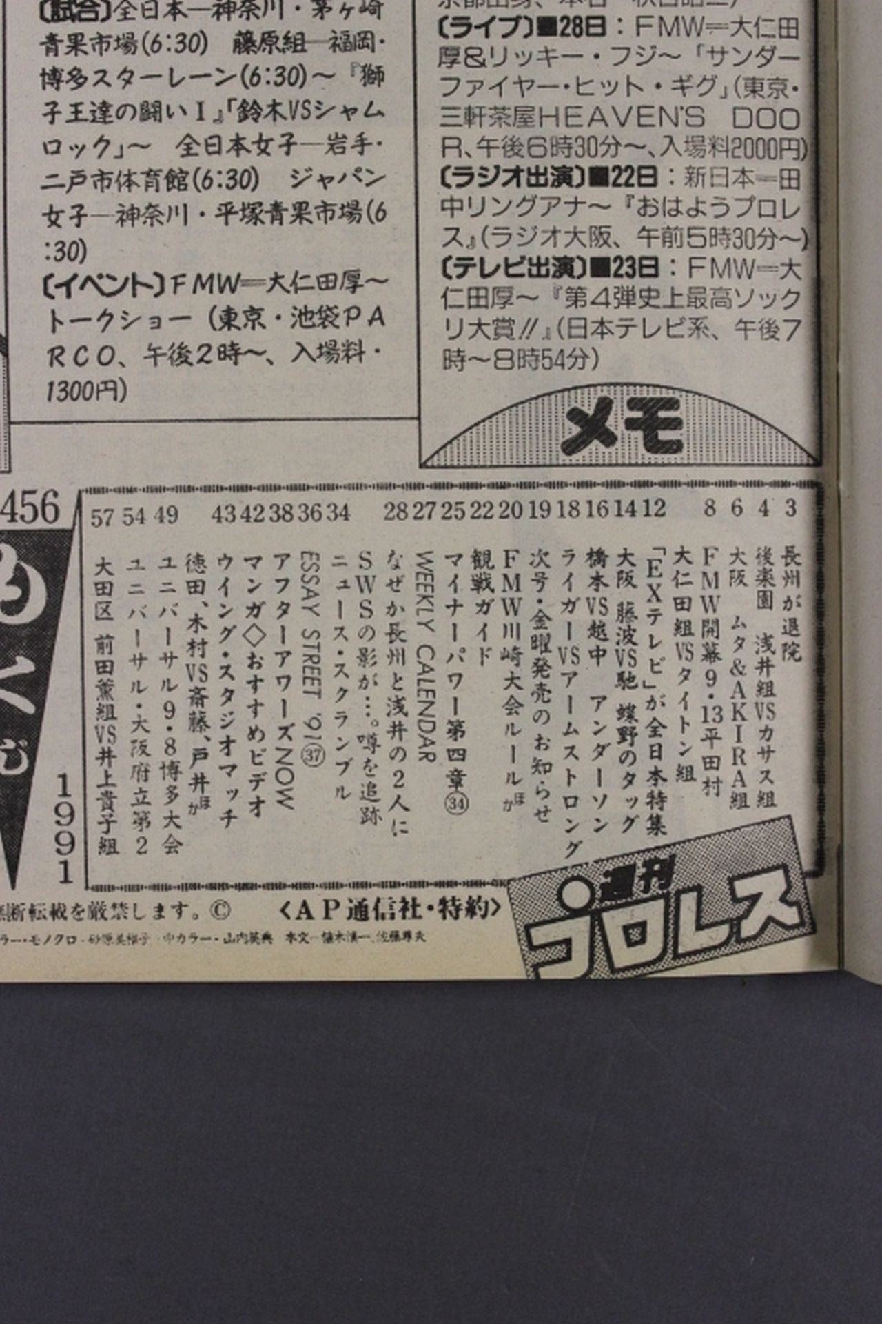 Weekly Pro Wrestling 456