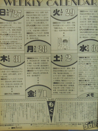 Weekly Pro Wrestling 461