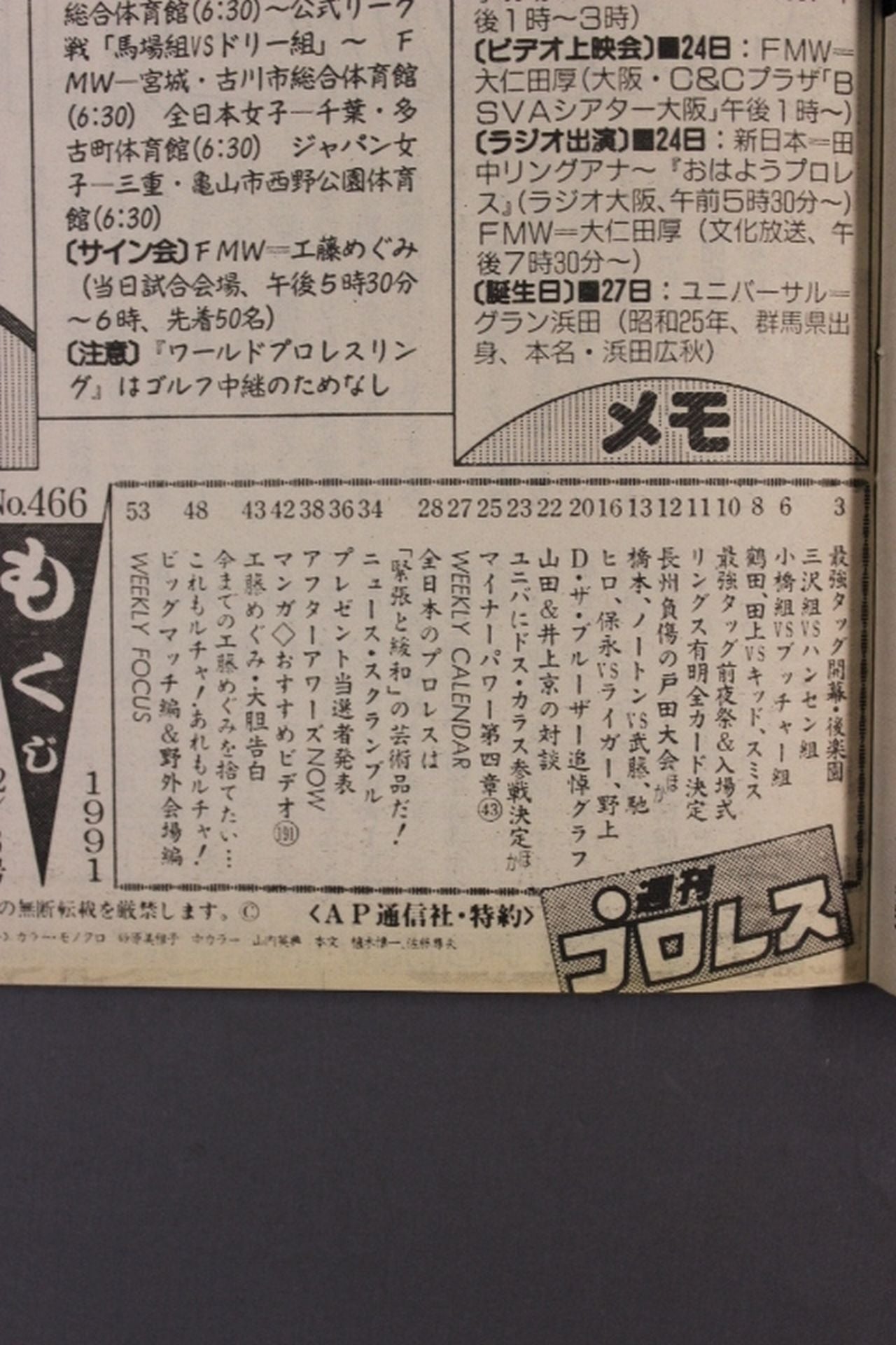 Weekly Pro Wrestling 466